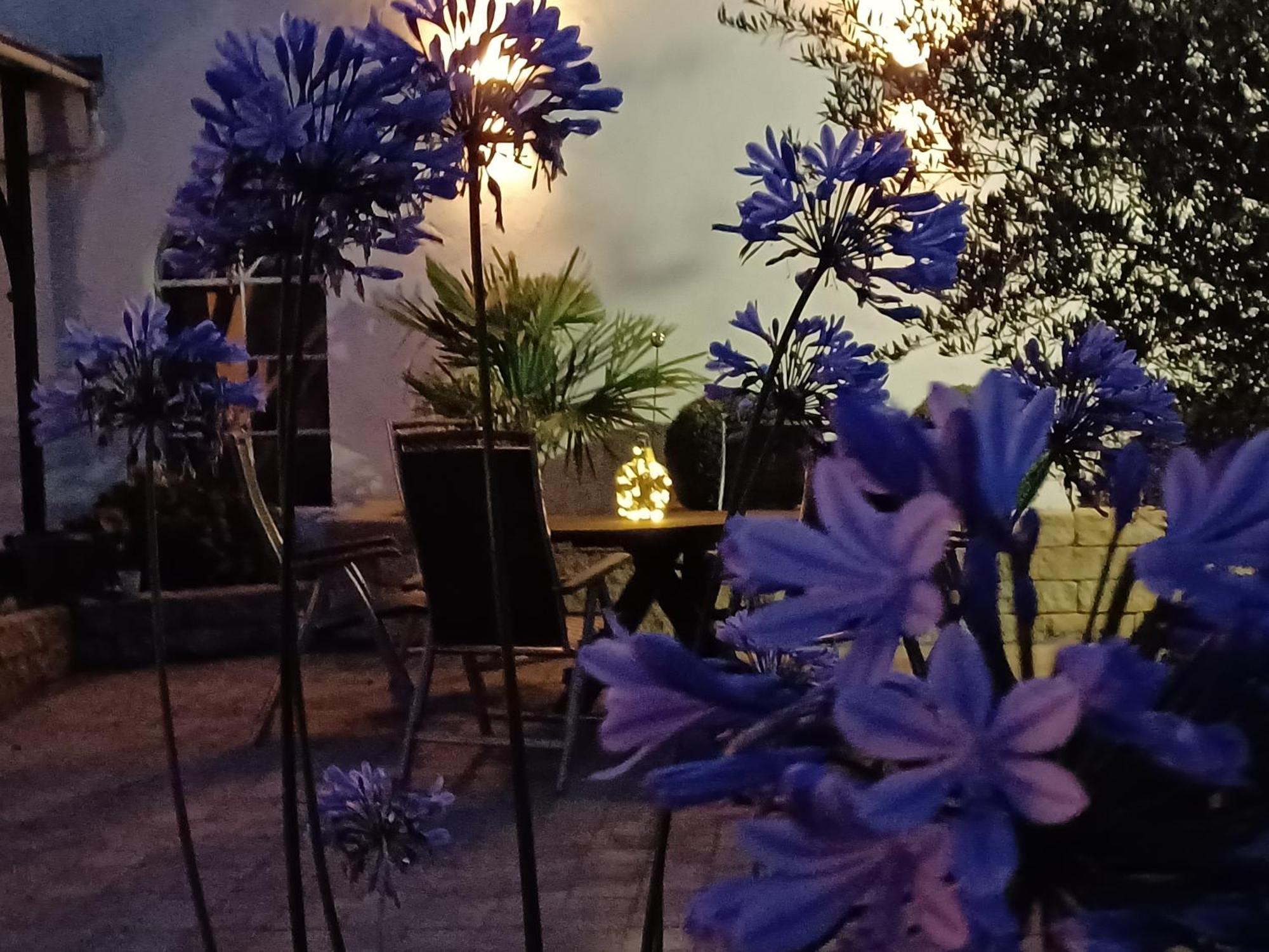 Gaestehaus Frevel Münstermaifeld 외부 사진